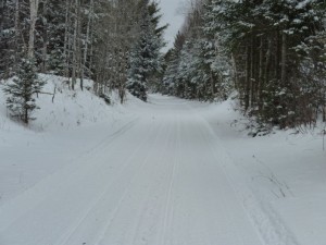 Snowmobile Trail North of LOL